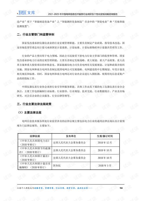 2021-2025年中國電網(wǎng)信息技術(shù)服務(wù)行業(yè)調(diào)研及個(gè)性化定制咨詢戰(zhàn)略分析